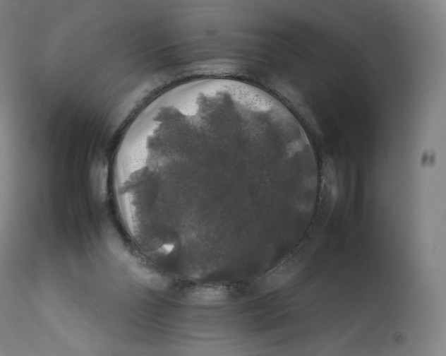 X0000112750110200909171236