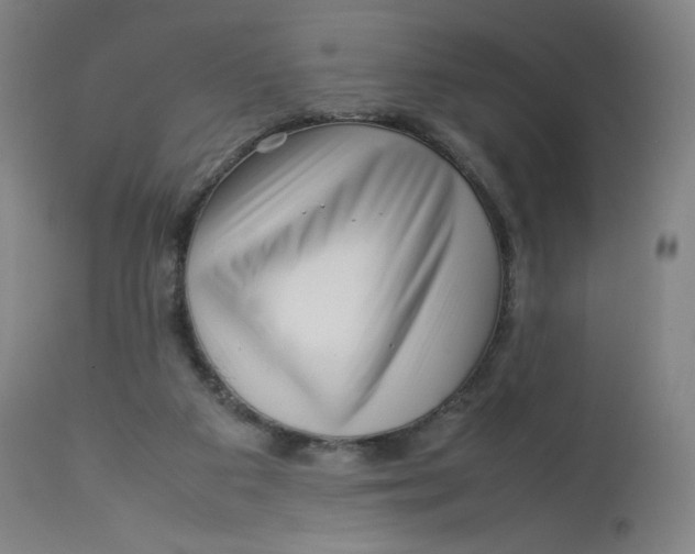 X0000112750113200909171236