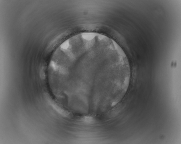 X0000112750114200909171236