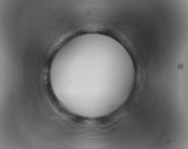 X0000112750115200909171236