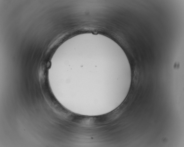 X0000112750116200909171236