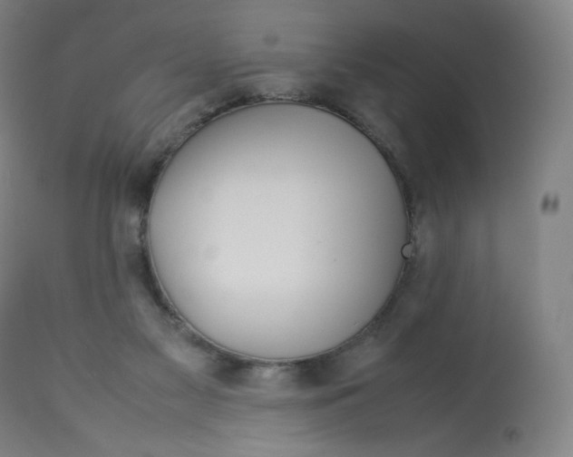 X0000112750117200909171236