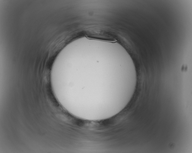 X0000112750125200909171235