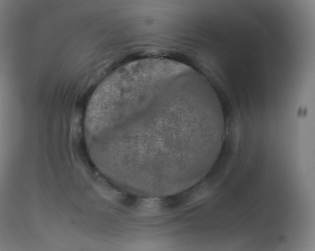 X0000112750127200909171235