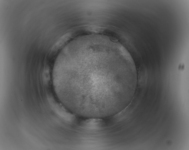 X0000112750128200909171235