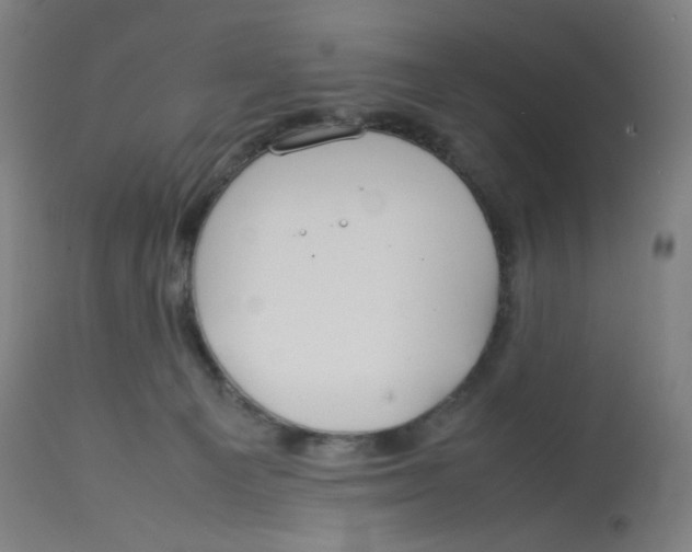 X0000112750129200909171235