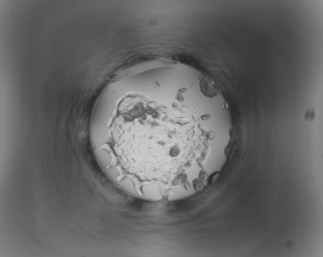 X0000112750131200909171235