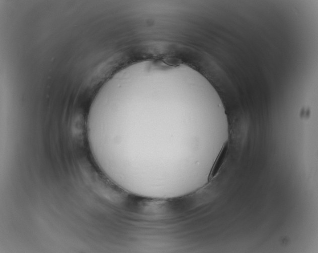 X0000112750132200909171235