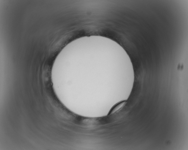 X0000112750133200909171235