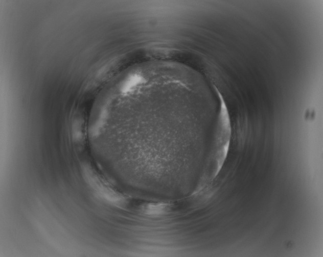 X0000112750134200909171235