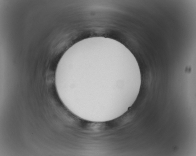 X0000112750135200909171235