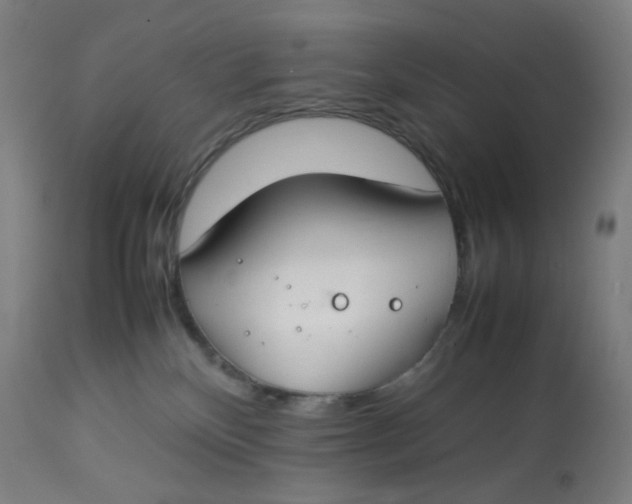 X0000112750136200909171235