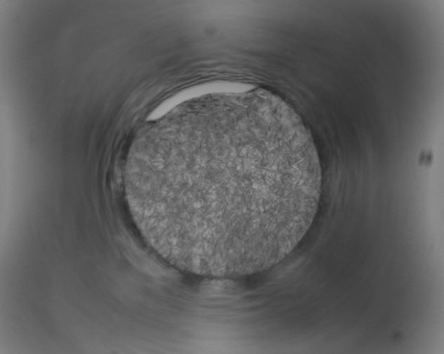 X0000112750137200909171235