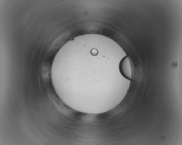 X0000112750138200909171235