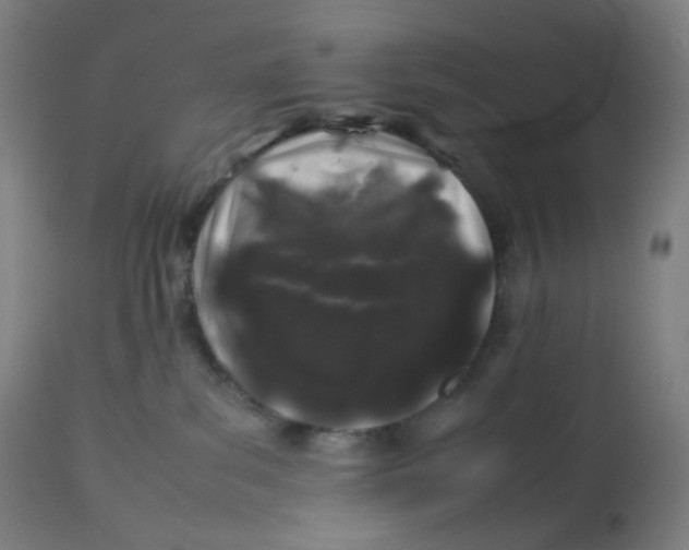 X0000112750139200909171235