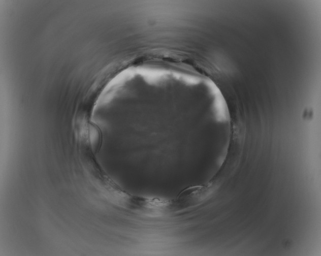 X0000112750143200909171235