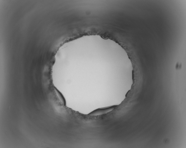 X0000112750144200909171235