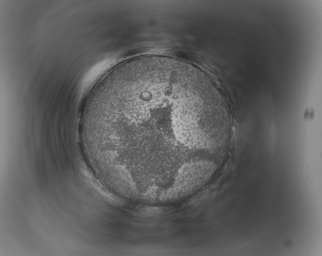 X0000112750149200909171234