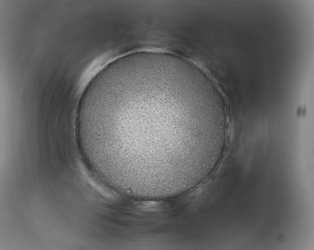 X0000112750151200909171234