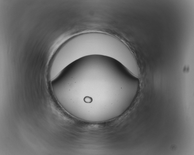 X0000112750152200909171234