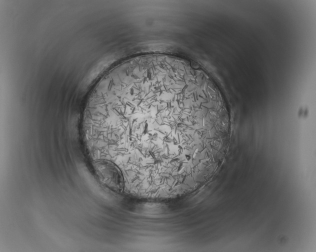 X0000112750154200909171234