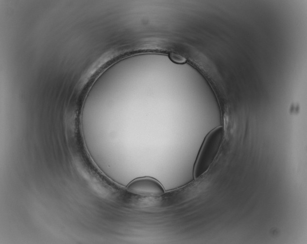 X0000112750156200909171234