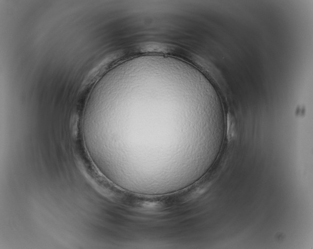 X0000112750157200909171234