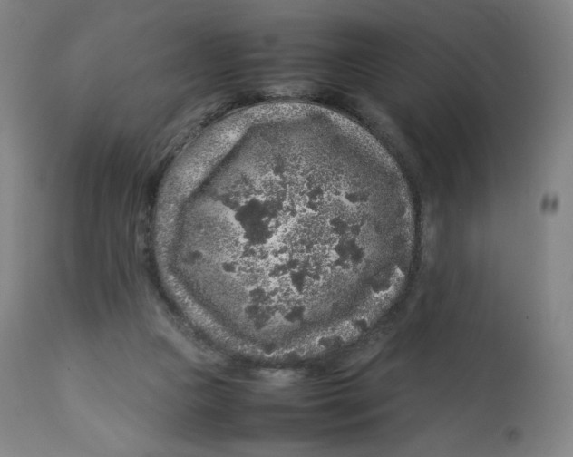 X0000112750161200909171235