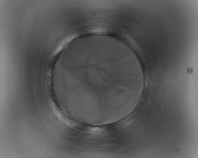 X0000112750163200909171235