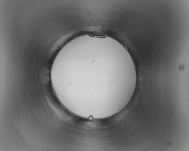 X0000112750164200909171235