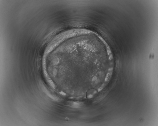 X0000112750165200909171235