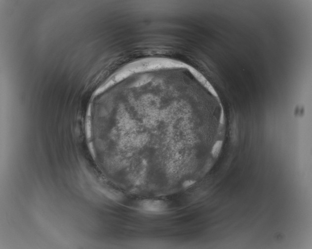 X0000112750169200909171235