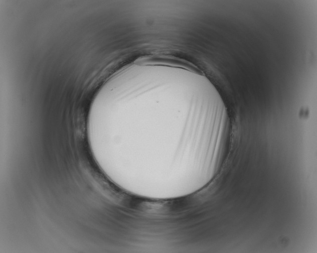 X0000112750170200909171235