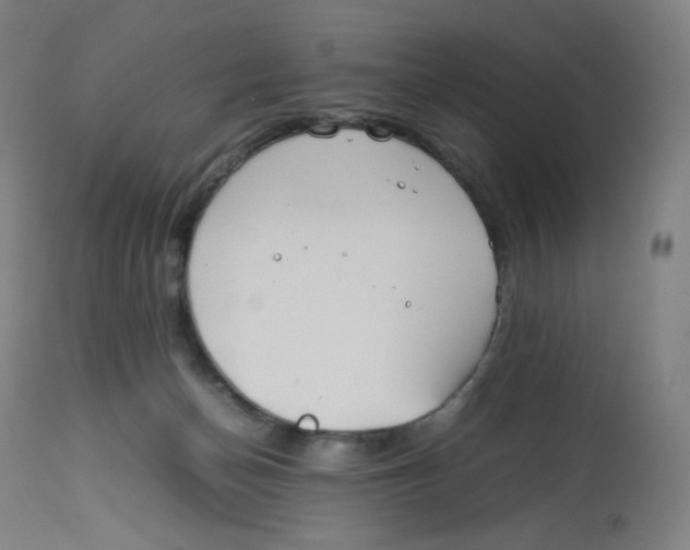 X0000112750174200909171235