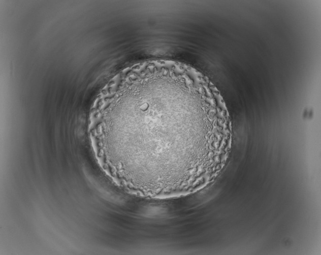 X0000112750175200909171235