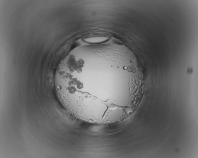 X0000112750178200909171235