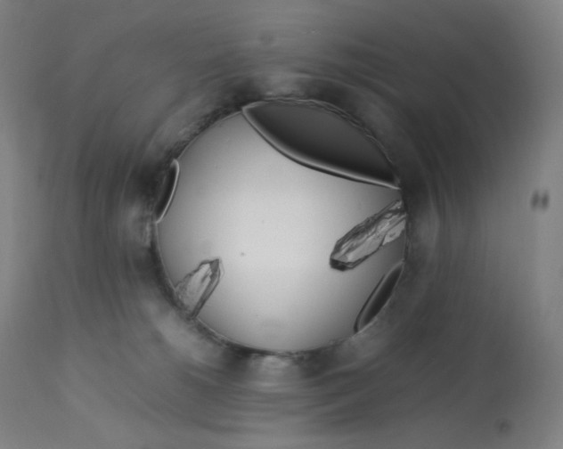 X0000112750180200909171235