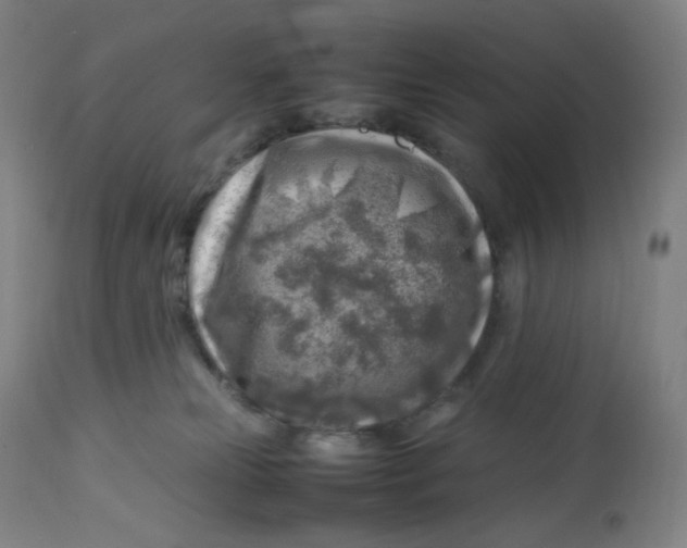 X0000112750181200909171235