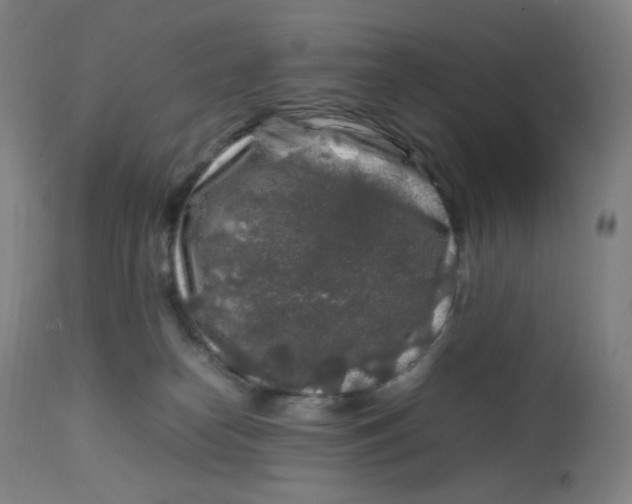 X0000112750182200909171235