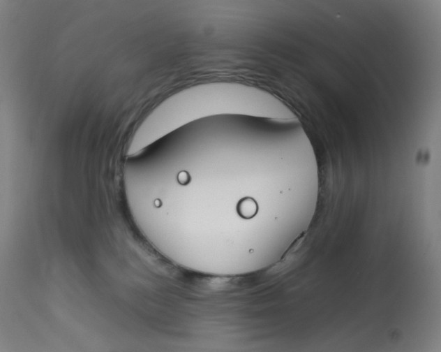 X0000112750184200909171235