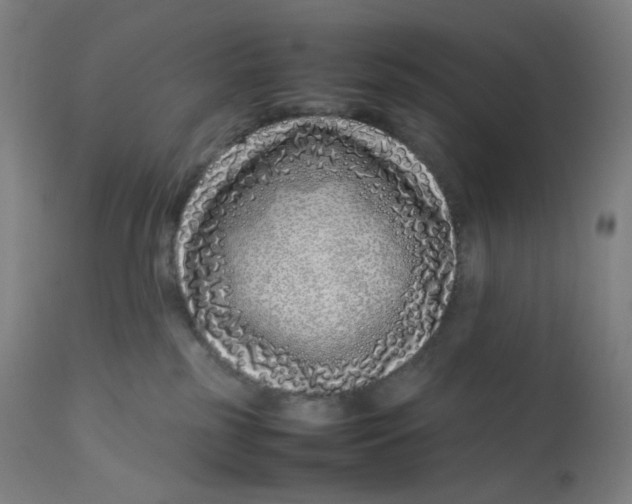 X0000112750185200909171235