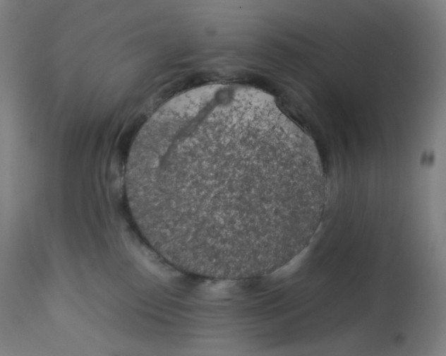 X0000112750186200909171235