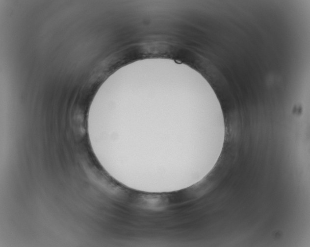 X0000112750187200909171235