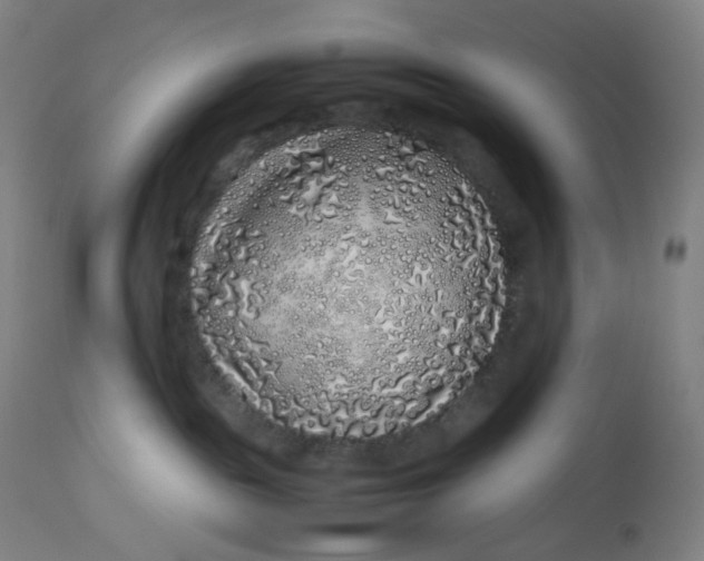 X0000112750189200909171235