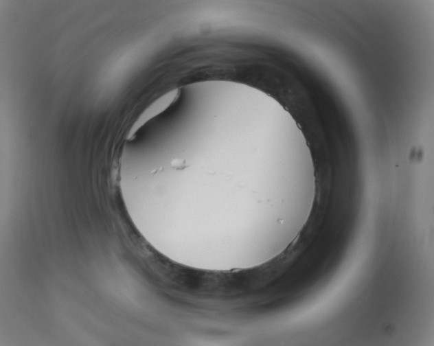 X0000112750190200909171235