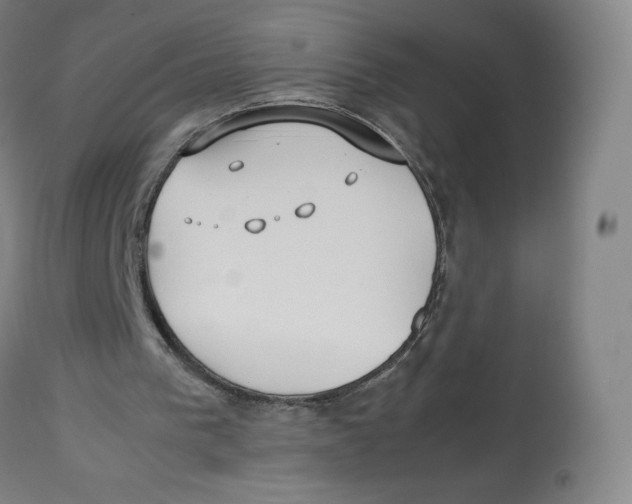 X0000112750193200909171234