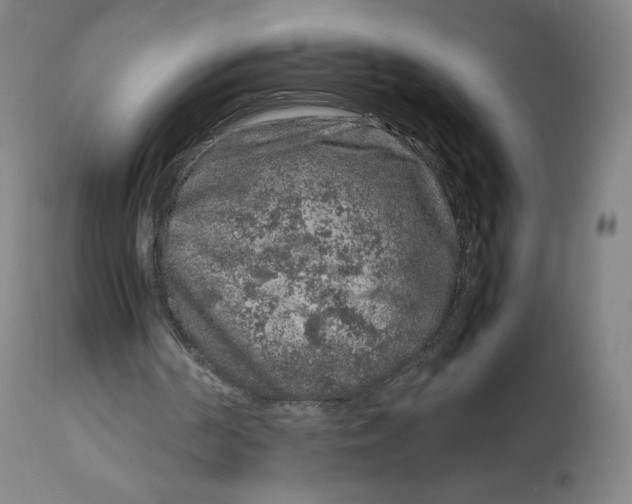 X0000112750194200909171234