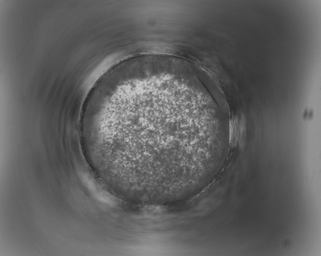 X0000112750195200909171234