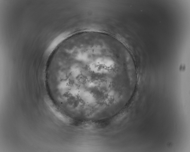 X0000112750199200909171234