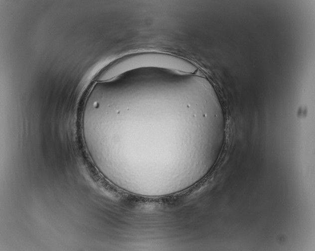 X0000112750200200909171234